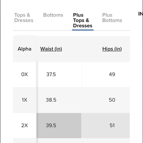 Hudson Plus Navy Linen Blazer 16W - Picture 10 of 11